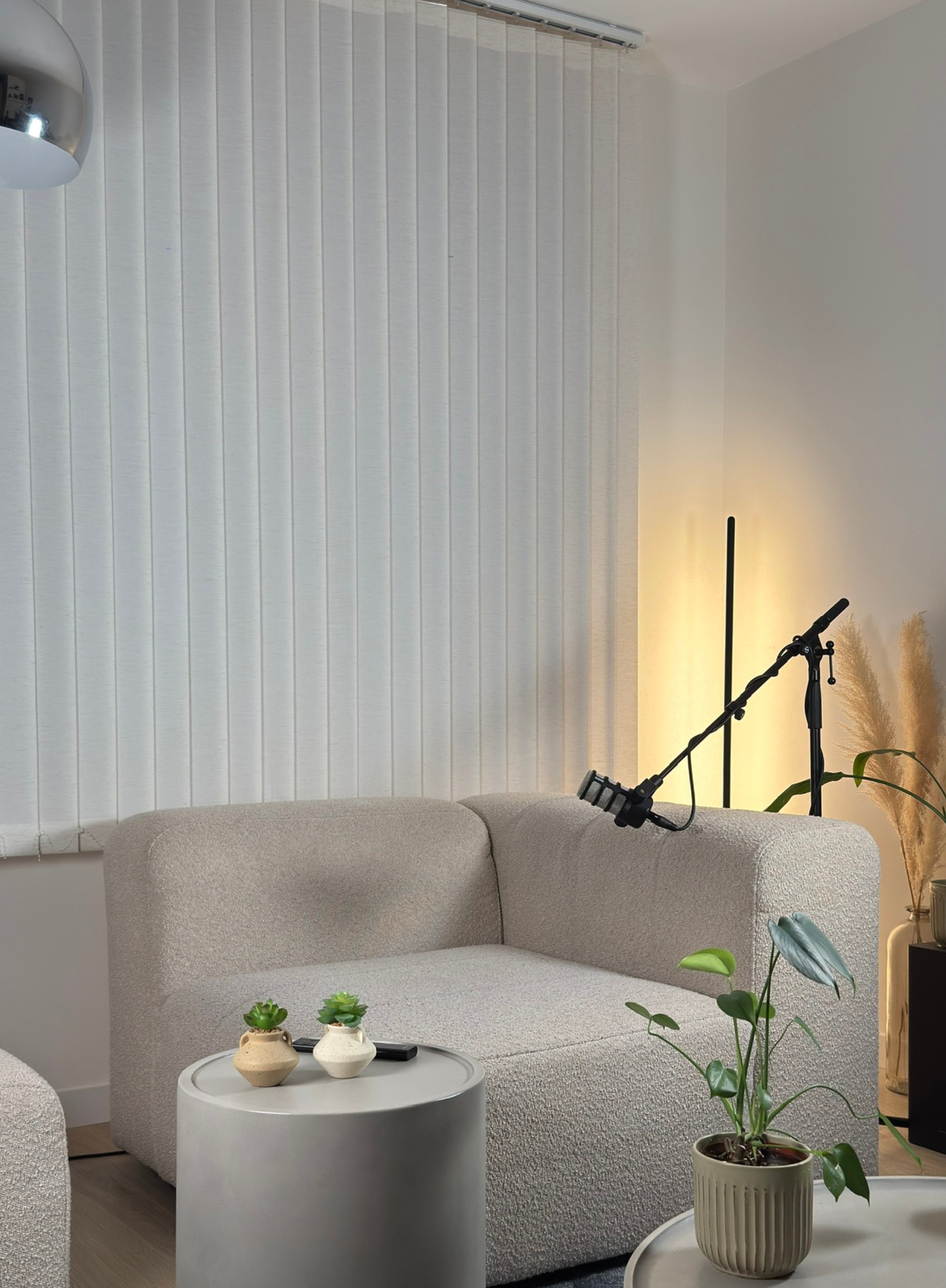 Espace 1 — Coin canapé cosy avec plantes et micro